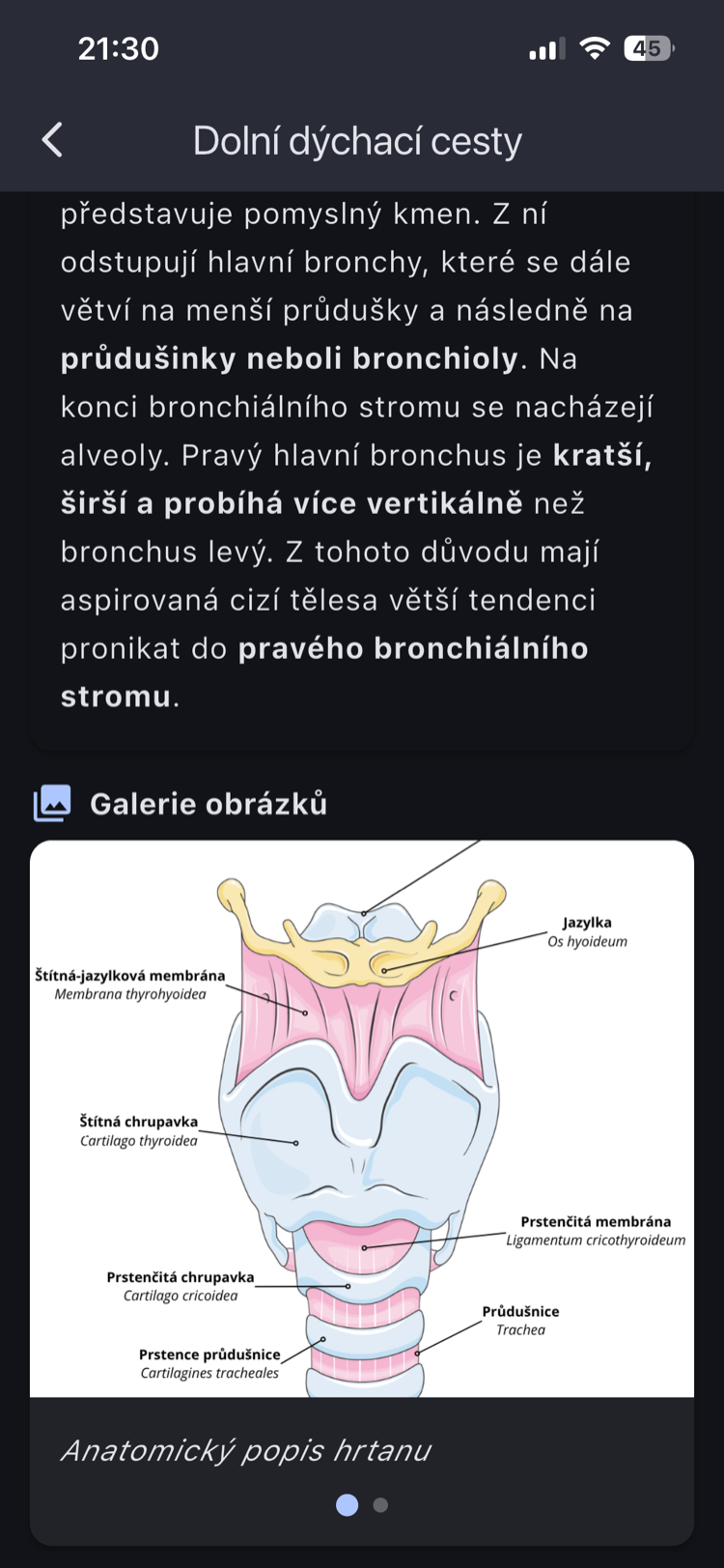 Fyziologie a anatomie